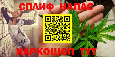 ALPHA PVP Кизляр
