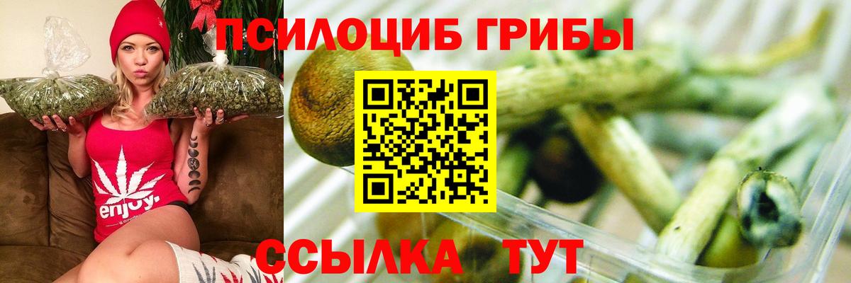 магазин продажи наркотиков  Вход с VPN  Туймазы  Псилоцибиновые грибы мухоморы  Галлюциногенные грибы мицелий 